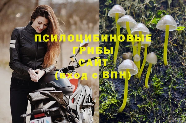 герыч Каменногорск