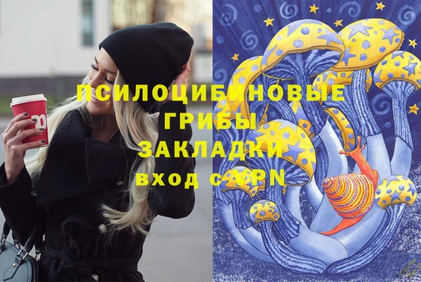 COCAINE Каменка