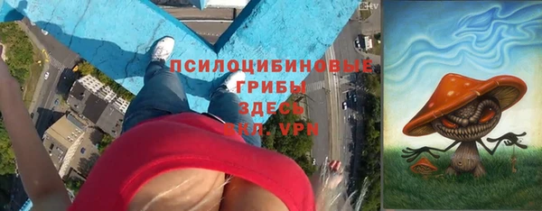 COCAINE Каменка