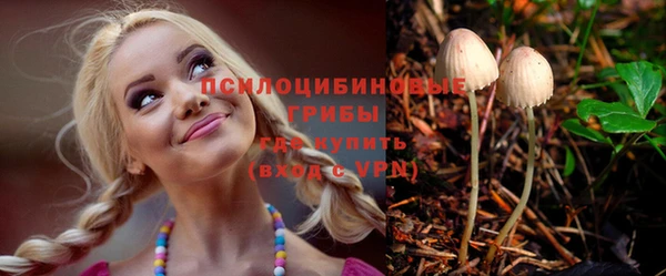 COCAINE Каменка