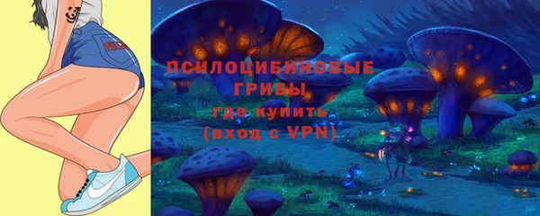 COCAINE Каменка