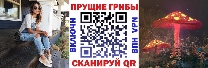 Галлюциногенные грибы GOLDEN TEACHER  Купить где  Короча 